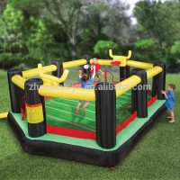 The Inflatable Backyard Sports Arena